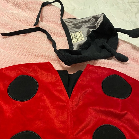 Costume Ladybug cape and handmade boutique linen cotton antenna bonnet 12-18 EUC - Picture 3 of 11